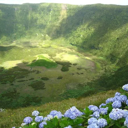 Casa Da Pedra Horta (Azores)
